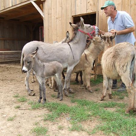 SemicTourist Farm Ob Izviru Krupe别墅 外观 照片